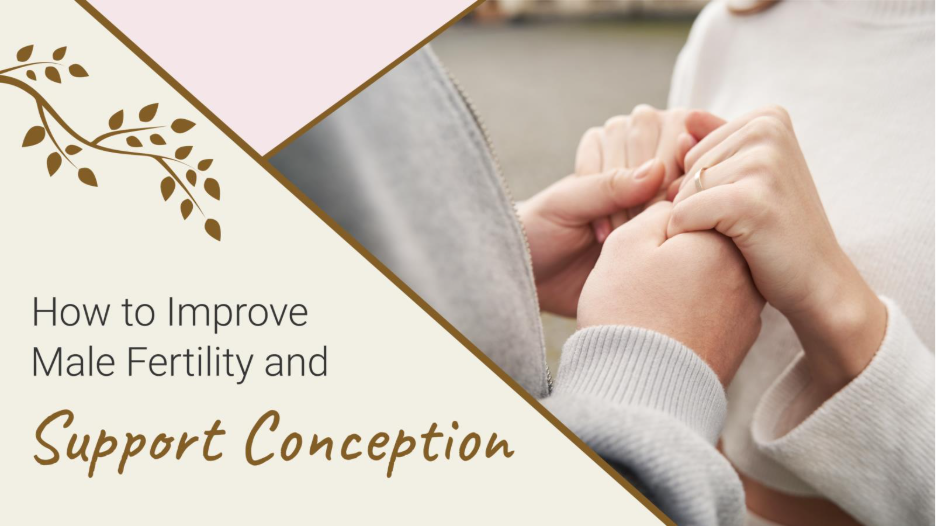 How to Improve Male Fertility and Support Conception 